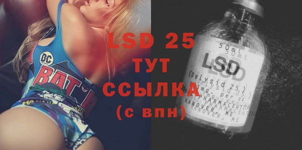 прущие грибы Нея