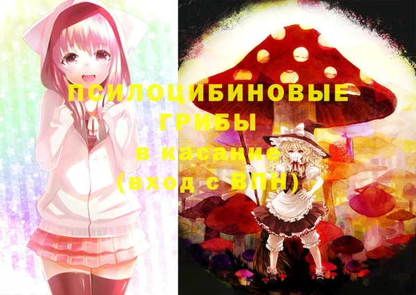 крисы Нефтегорск