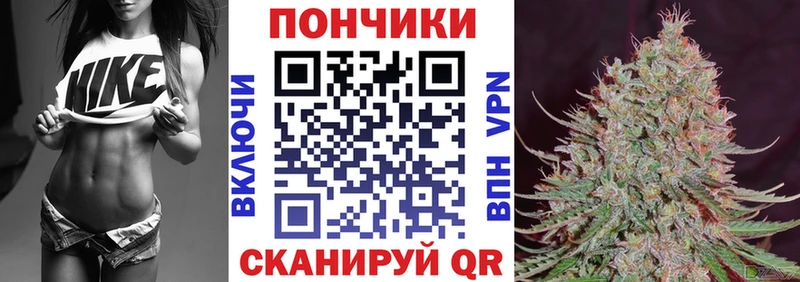 Купить закладки  Зеленогорск  Конопля SATIVA & INDICA 